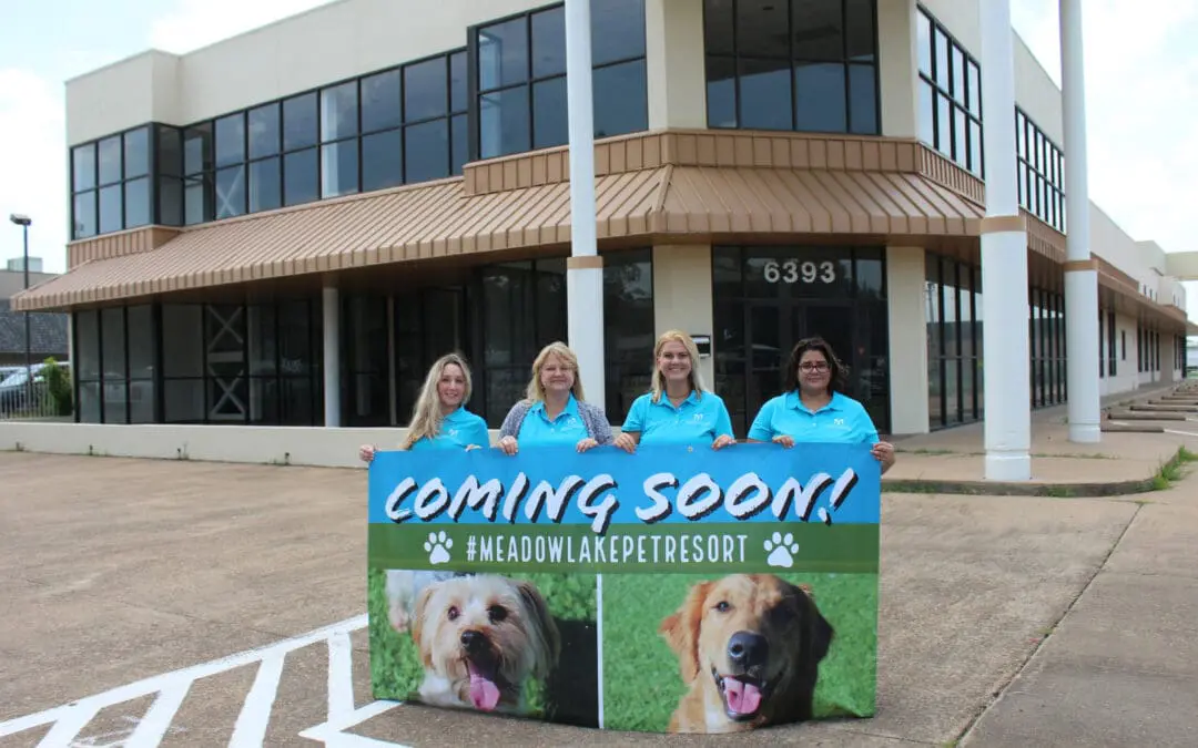 New Logo, New Shirts, and A New Location!