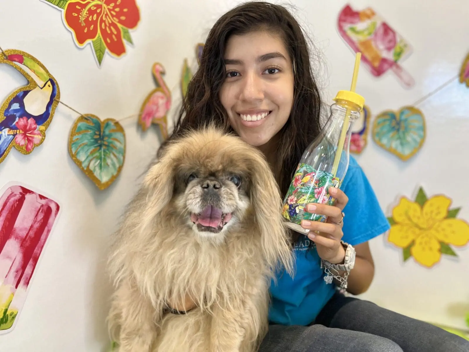 IMG_4236 Dog groomer holding a small fluffy dog after grooming at a pet resort grooming salon