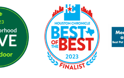 Meadowlake Pet Resort & Training Center Wins 4 Awards for 2023!