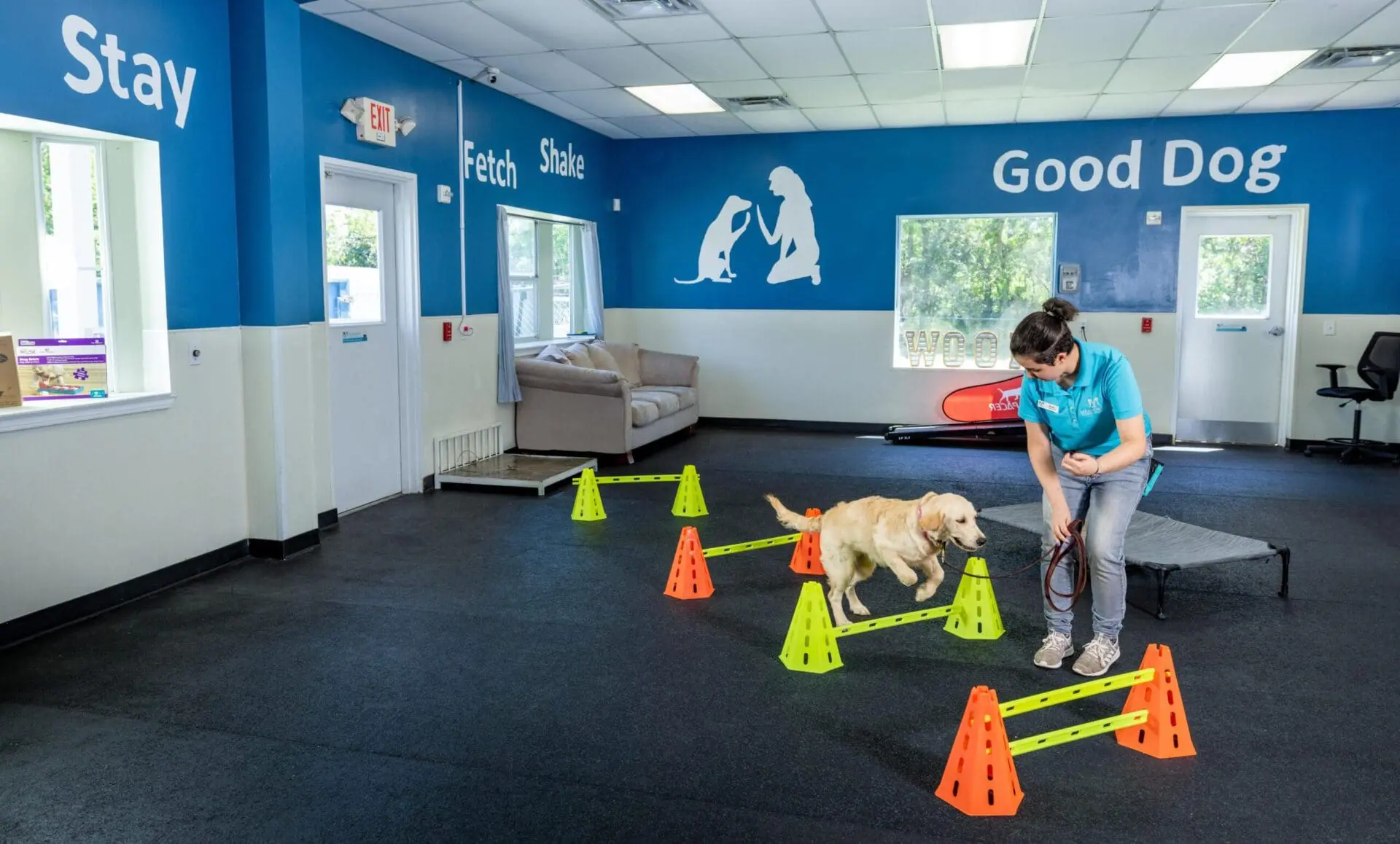 20230417_Meadowlake_Pet_01857-Edit-min (2) 5 myths about training that you may not know
