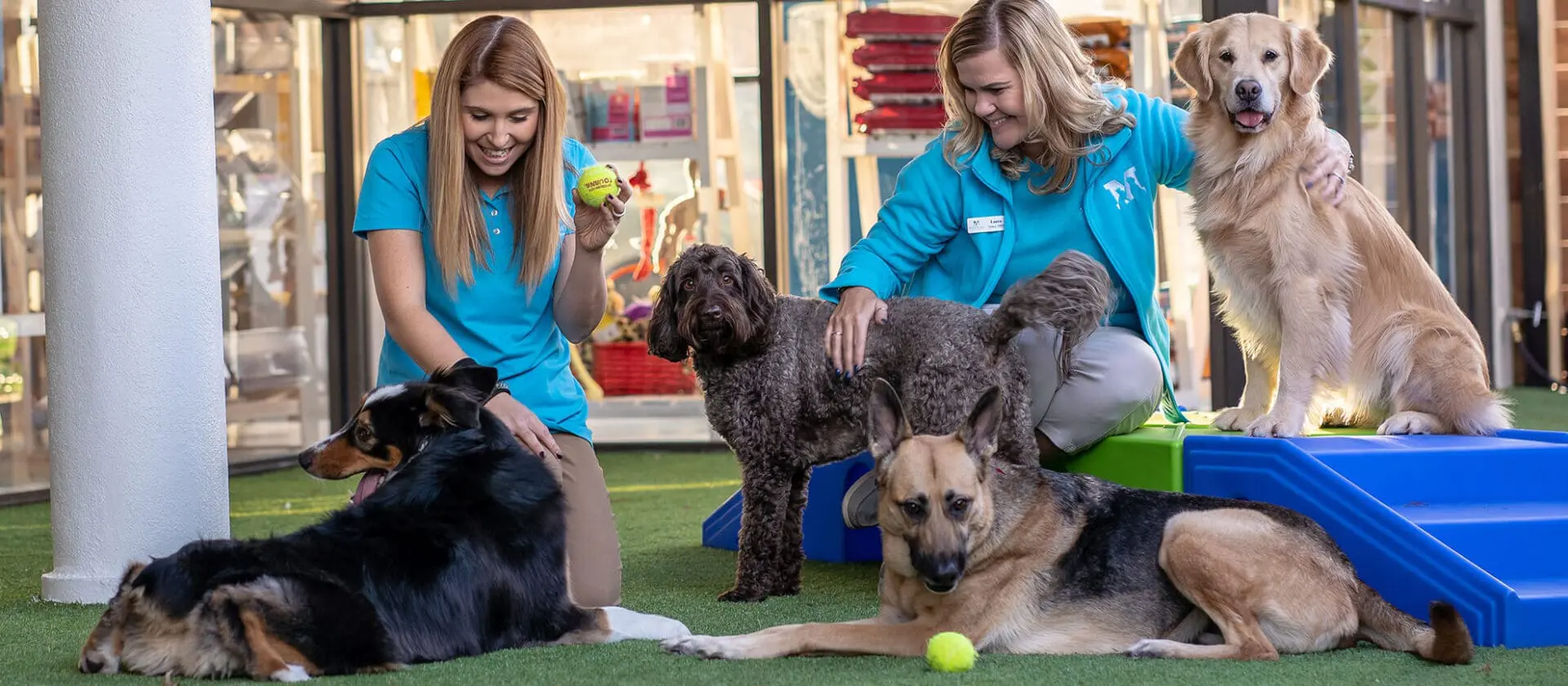Meadowlake Pet Resort Staff with Dogs Meadowlake Pet Resort Staff with Dogs