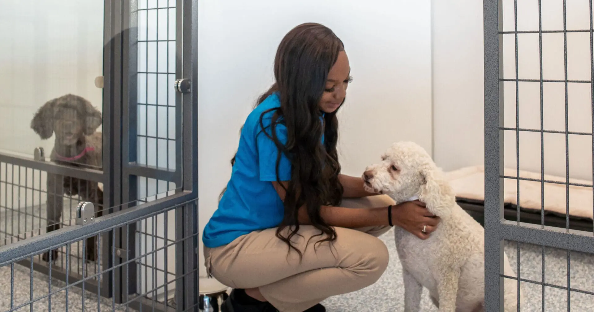 Woman greeting dog in a clean indoor kennel at Meadowlake Pet Resort boarding facility