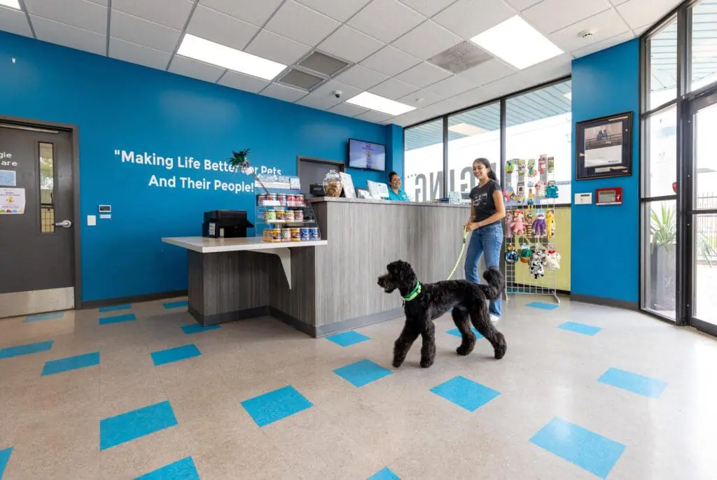 lady bring dog to Meadowlake Pet Resort