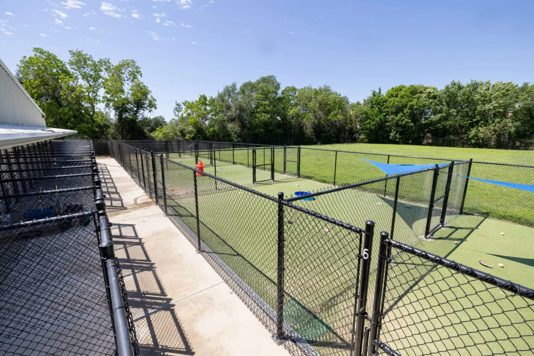 Multi-pet dog boarding service available at Meadowlake Pet Resort in Houston, Texas.