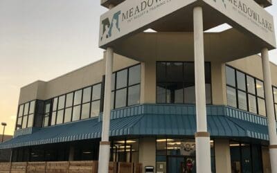 MEADOWLAKE PET RESORT & TRAINING CENTER OPENS INSIDE THE LOOP