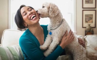 Our Top 3 Apps For Dog Lovers!