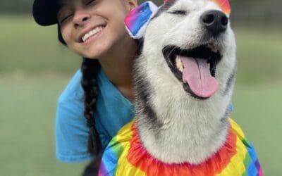 5 Hair-raising Benefits of De-Shedding Services for Dogs