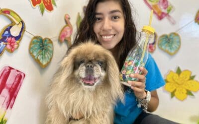3 Things Luxury Pet Resorts Do to Make Your Dog Feel at Home