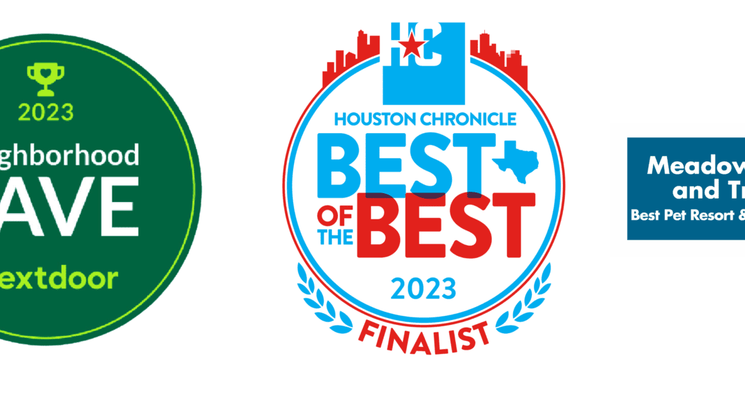 Meadowlake Pet Resort & Training Center Wins 4 Awards for 2023!
