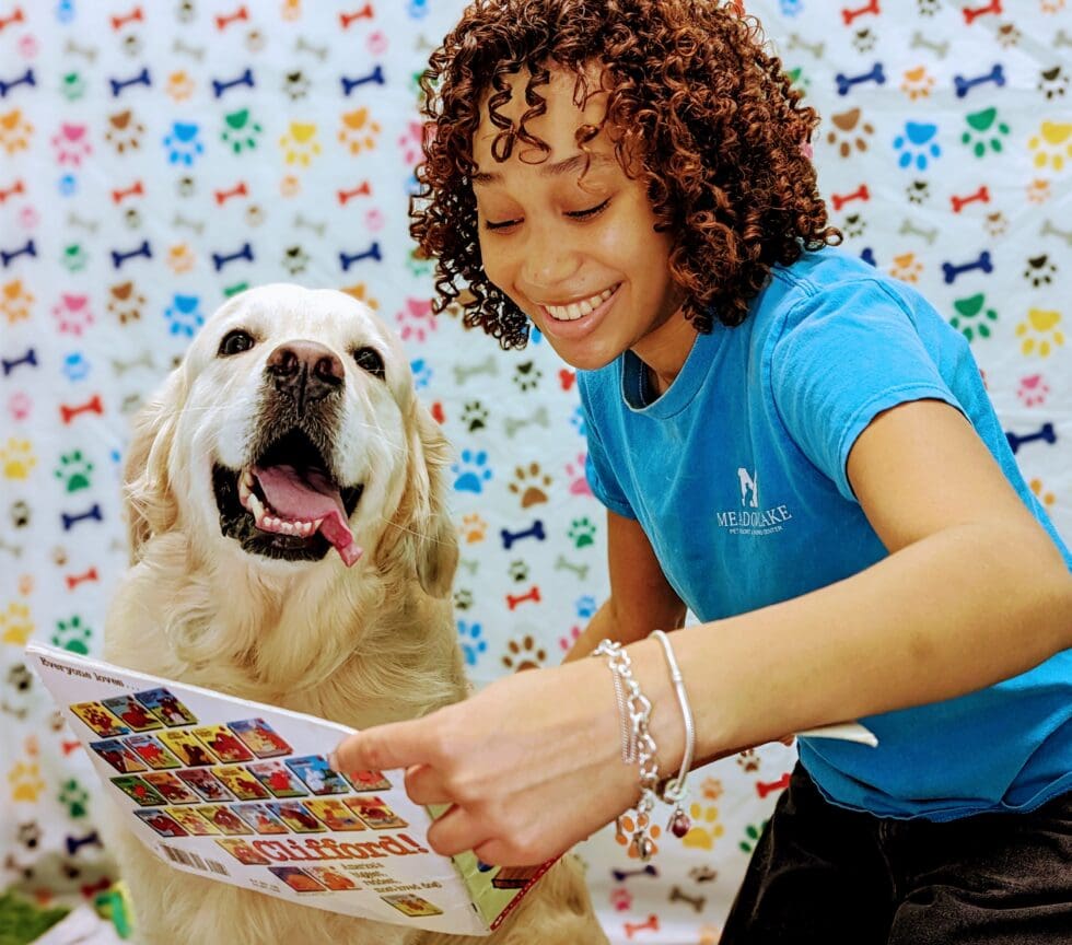 Award Winning Dog Boarding in Houston Meadowlake Pet Resort