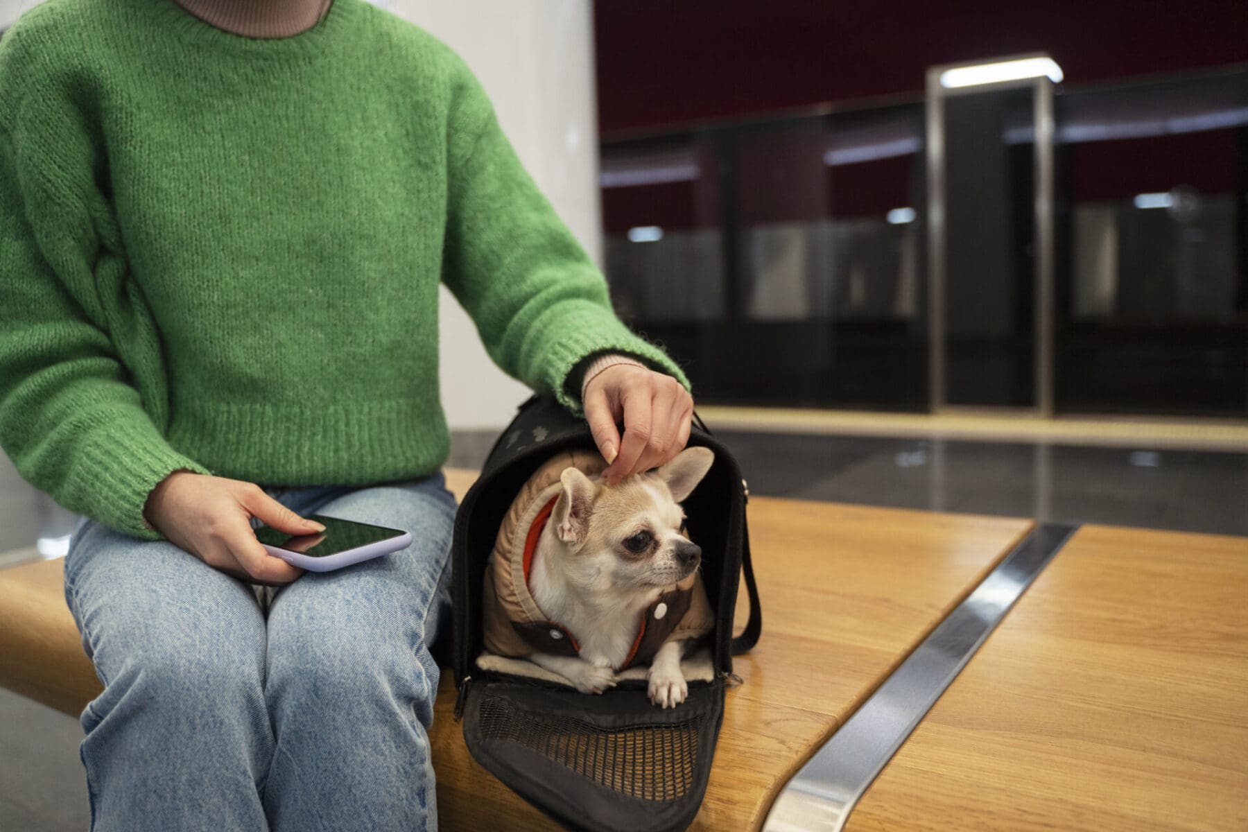 Pet boarding Pet boarding