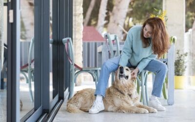 How To Help a Rescue Dog Adjust to Dog Boarding or Daycare