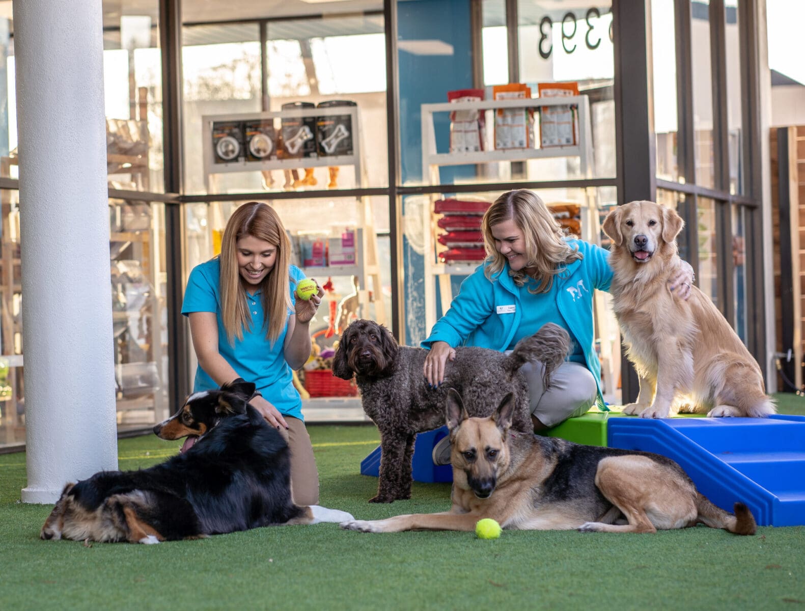 Dog Boarding and training Reservations at Meadowlake Pet Resort