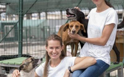 Beyond Commands: Behavior Focused Dog Boarding