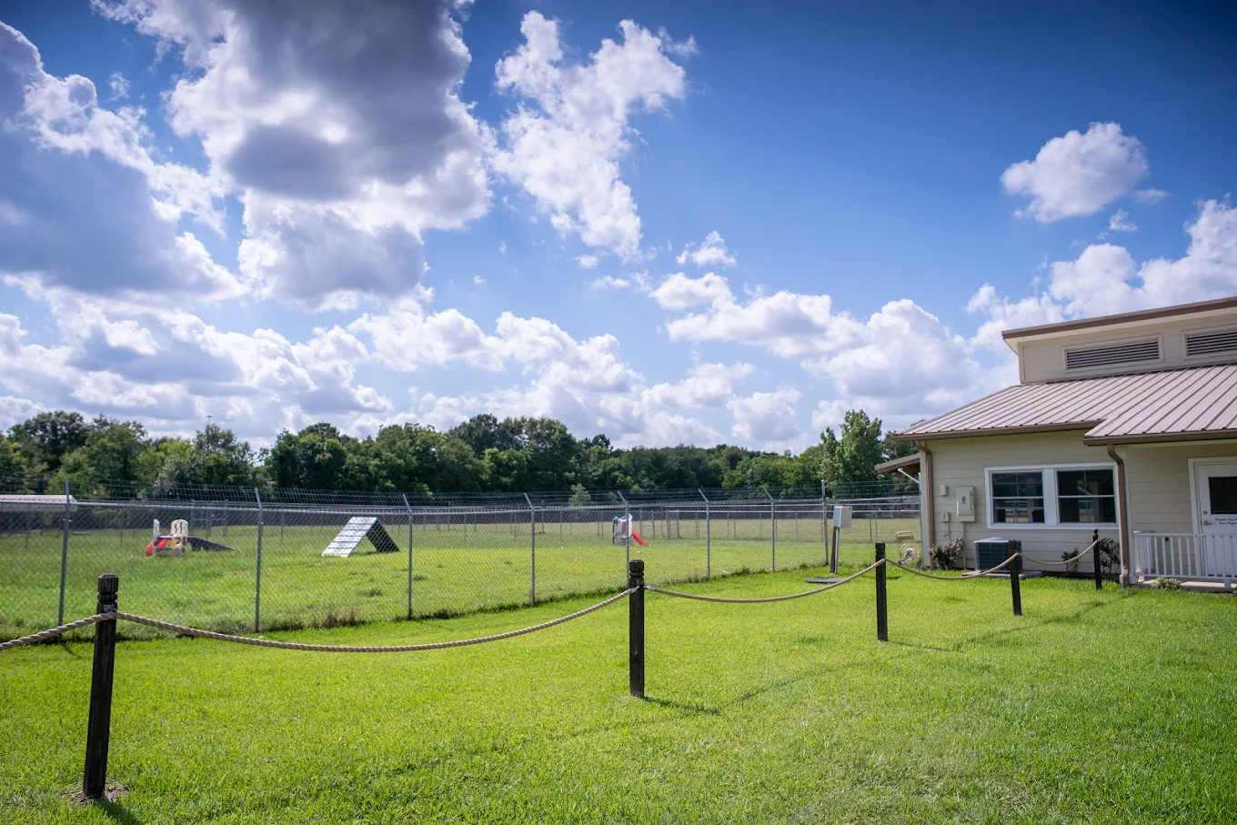 Dog Boarding & Pet Resort Services at Meadowlake 288 South