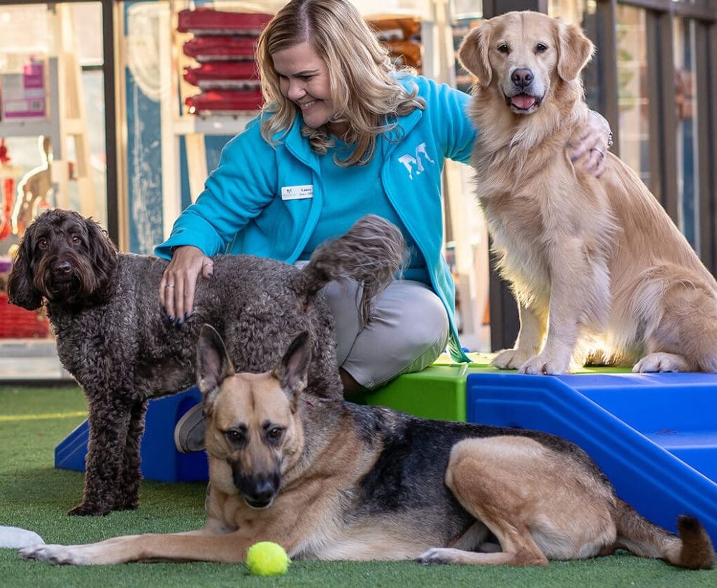 Dog Boarding & Pet Resort Services at Meadowlake 288 South Dog Boarding & Pet Resort Services at Meadowlake 288 South