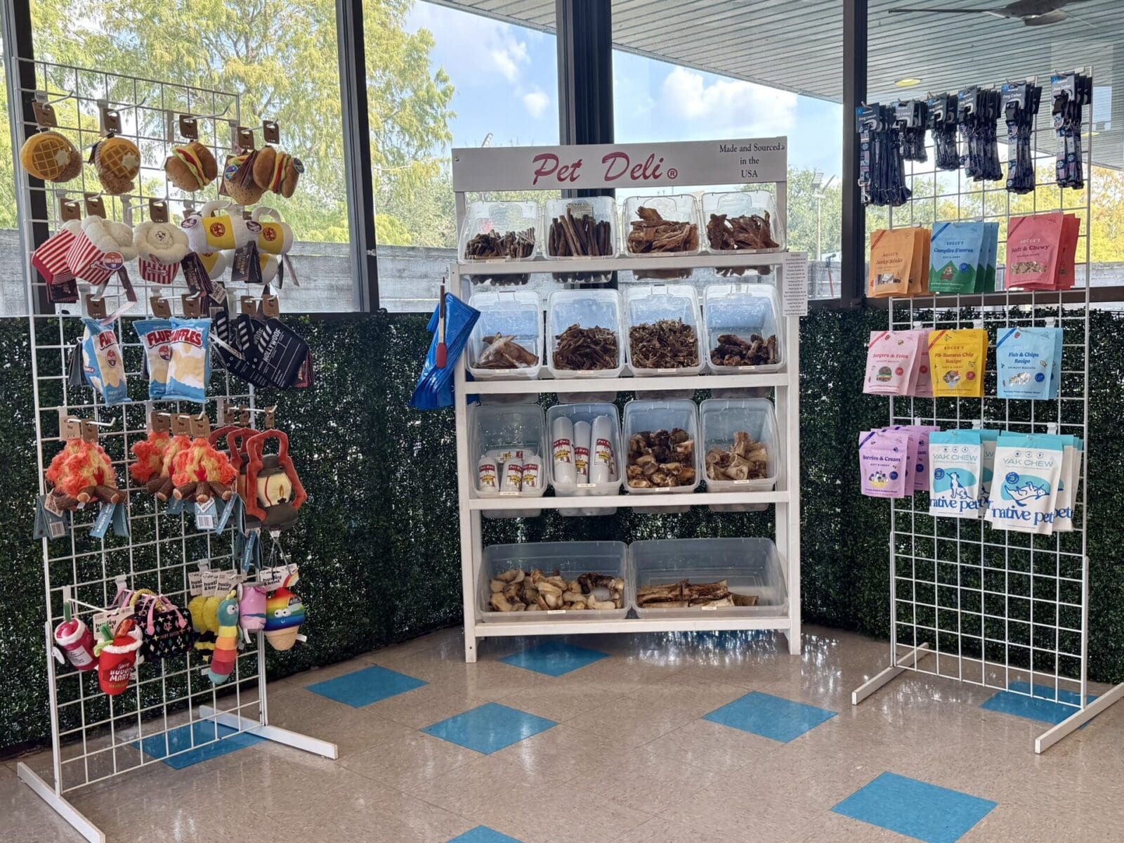 dog enrichment activity