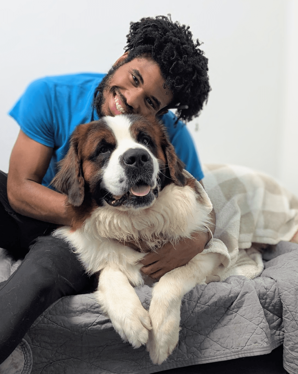 luxury dog hotel houston with comfortable private boarding suites