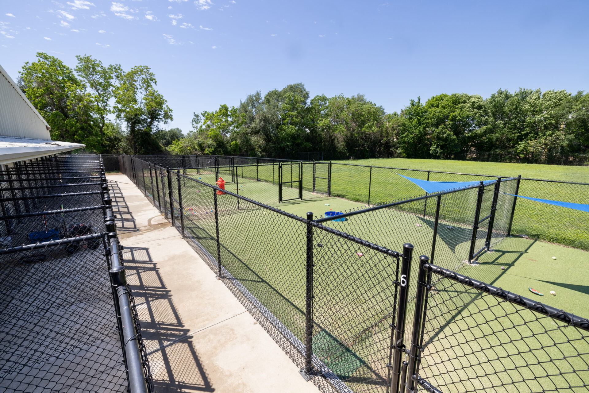 Multi-pet dog boarding service available at Meadowlake Pet Resort in Houston, Texas.